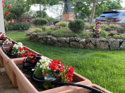 Apartmani Myrta Krk (Otok Krk)