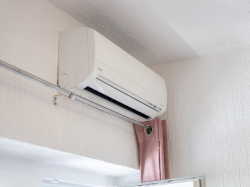 Apartamenty Štokić Barbat (Wyspa Rab)