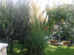 Apartamenty Derencinovic Baška (Wyspa Krk)