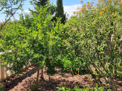 Apartamenty Karlobag Karlobag