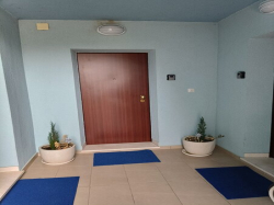 Apartamenty Apartmani Korčula Plava kuća Korčula (Wyspa Korčula)