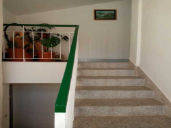 Apartamenty Perić Lopar (Wyspa Rab)