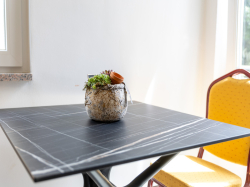 Apartamenty Štokić Barbat (Wyspa Rab)