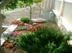 Apartamenty Liki Pisak