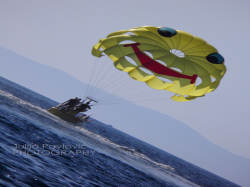 Apartamenty i sobe Danica Podaca