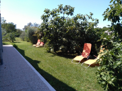 Apartamenty ADRI Štinjan