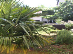 Apartamenty Vitali Vodice Vodice