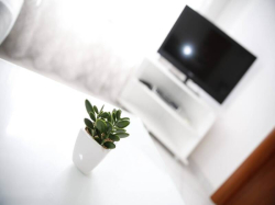 Apartamenty Apartmani Lepur Vodice