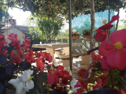 Apartamenty M&M Žminj